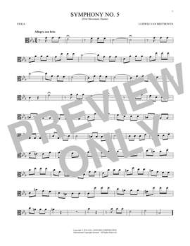 Ludwig Van Beethoven: Symphony No. 5 In C Minor, First Movement Excerpt