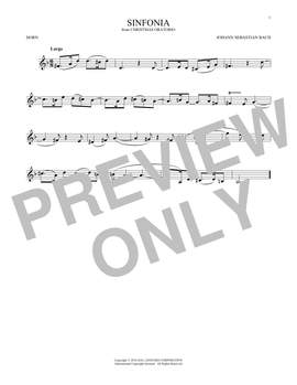 Johann Sebastian Bach: Sinfonia