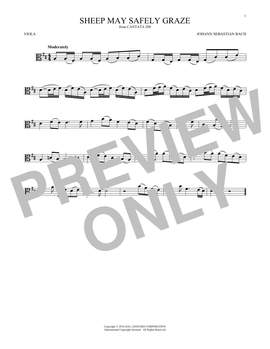 Johann Sebastian Bach: Sheep May Safely Graze