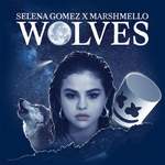 Selena Gomez & Marshmello: Wolves Product Image