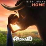 Nick Jonas: Home Product Image