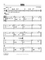 Pat Metheny: Born Product Image