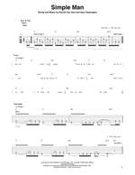 Lynyrd Skynyrd: Simple Man Product Image