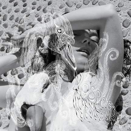 Bjork: Aurora