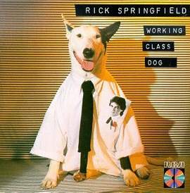 Rick Springfield: Jessie's Girl