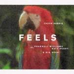 Calvin Harris ft. Pharrell Williams: Feels Product Image