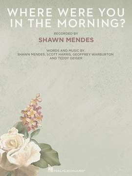 Shawn Mendes: Where Were You In The Morning?