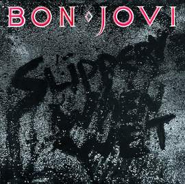 Bon Jovi: You Give Love A Bad Name
