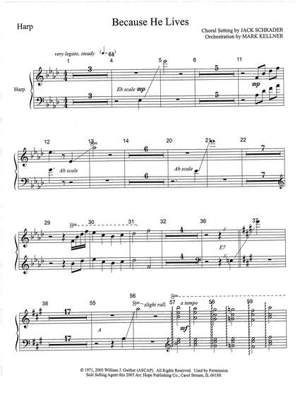 Mark Kellner: Because He Lives - Harp