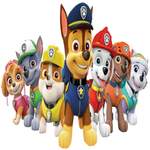 Various: PAW Patrol Theme Product Image
