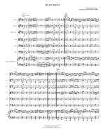 Kenneth Baird: Celtic Roots - Full Score Product Image