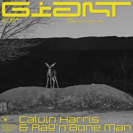 Calvin Harris & Rag'n'Bone Man: Giant
