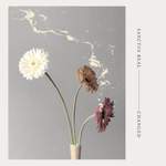 Sanctus Real: Confidence Product Image