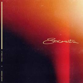 Shawn Mendes & Camila Cabello: Señorita