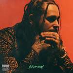Post Malone: Feeling Whitney Product Image