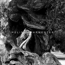 Melissa Parmenter: Locorotondo