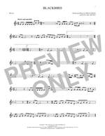 The Beatles: Blackbird Product Image