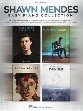 Shawn Mendes: Life Of The Party