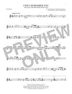 Sarah McLachlan: I Will Remember You Product Image