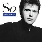 Peter Gabriel: Sledgehammer Product Image