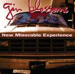 Gin Blossoms: Hey Jealousy Product Image