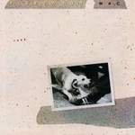 Fleetwood Mac: Storms Product Image