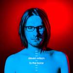 Steven Wilson: Permanating Product Image