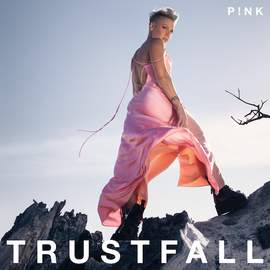 P!nk: All Out Of Fight