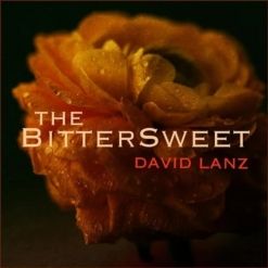 David Lanz: The Bittersweet