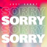 Joel Corry: Sorry Product Image