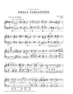 Nico Muhly: Small Variations Product Image