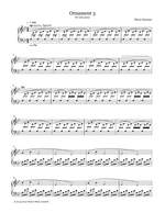 Bryce Dessner: Ornament 3 Product Image