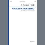 Owain Park: A Gaelic Blessing Product Image