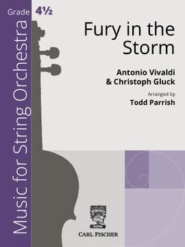 Fury in the Storm