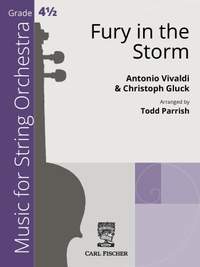 Fury in the Storm G minor