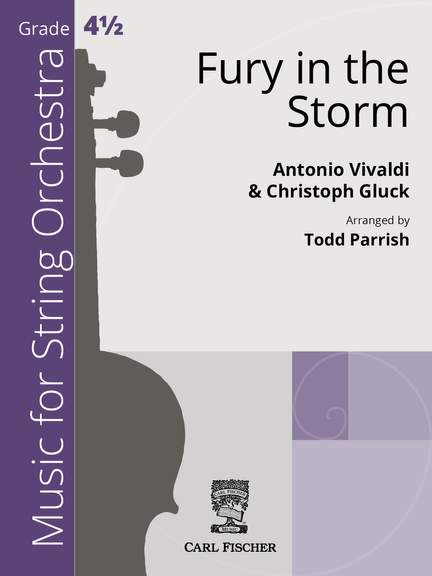 Fury in the Storm