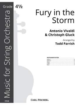 Fury in the Storm