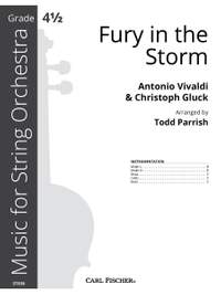 Fury in the Storm G minor