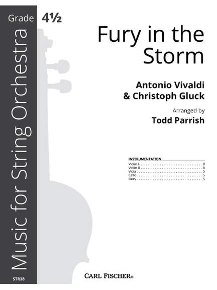 Fury in the Storm