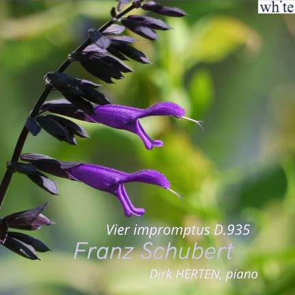 Franz Schubert: Vier Impromptus D.935