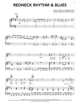 Brooks & Dunn: Redneck Rhythm & Blues
