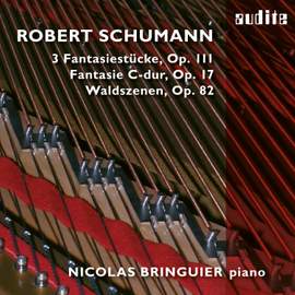 Schumann: Fantasie C-Dur, Waldszenen, 3 Fantasiestücke