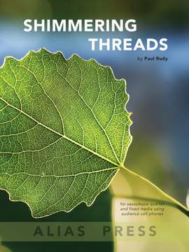 Paul Rudy: Shimmering Threads