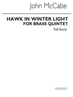 John McCabe: Hawk In Winter Light