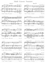 Beethoven, L v: Sonatas for Piano and Violin Vol. 2 Product Image