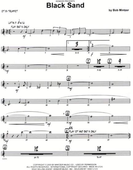 Bob Mintzer: Black Sand