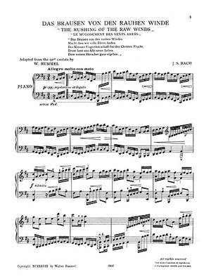 Johann Sebastian Bach: The Rushing Of The Raw Winds