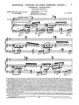 Johann Sebastian Bach: Sinfonia-Weeping, Lamenting