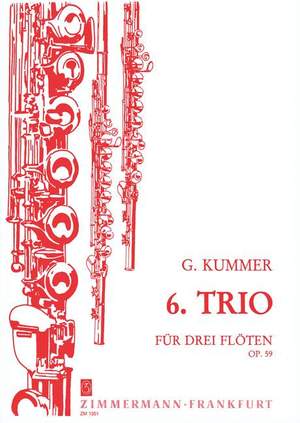 Kummer, K: 6. Trio op. 59