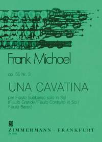Michael, F: Una Cavatina op. 65/3